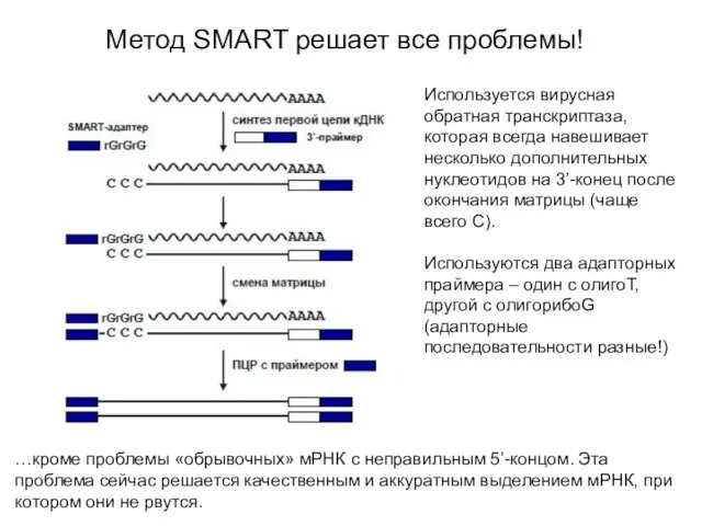 Метод SMART решает все проблемы! Используется вирусная обратная транскриптаза, которая