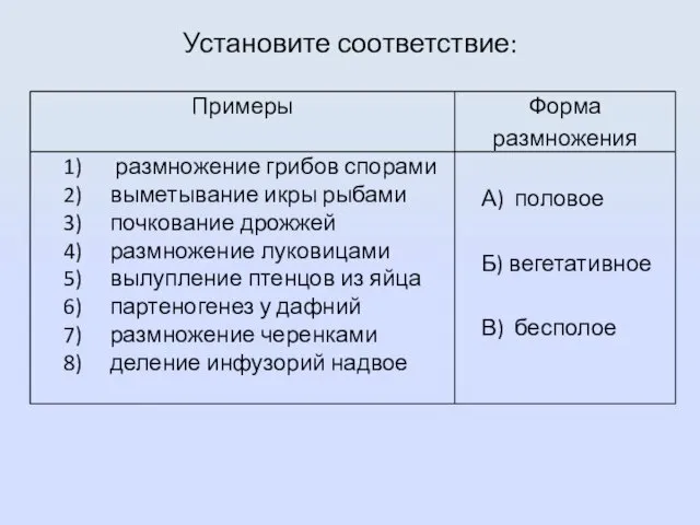 Установите соответствие: