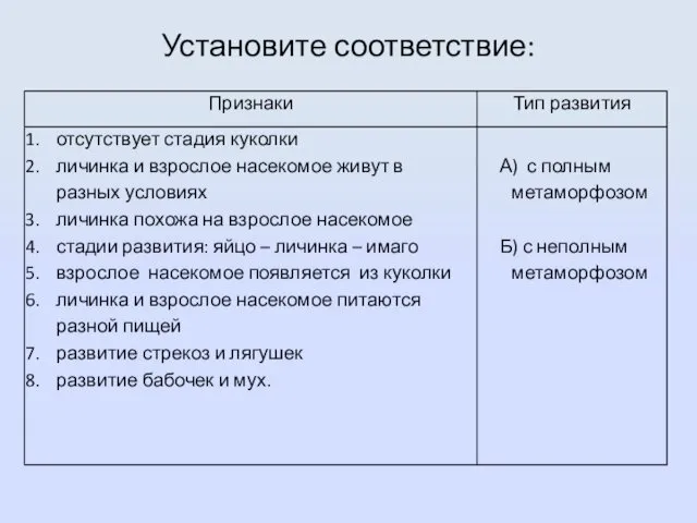 Установите соответствие: