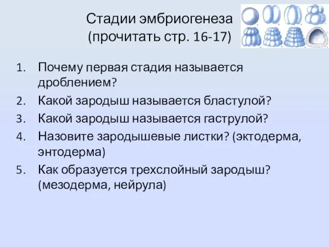 Стадии эмбриогенеза (прочитать стр. 16-17) Почему первая стадия называется дроблением?