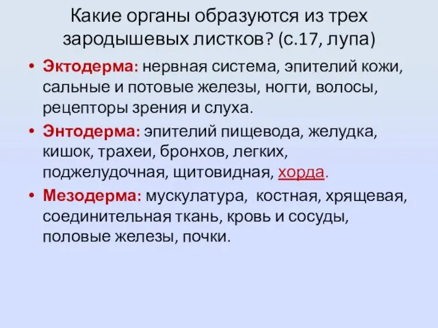 Какие органы образуются из трех зародышевых листков? (с.17, лупа) Эктодерма: