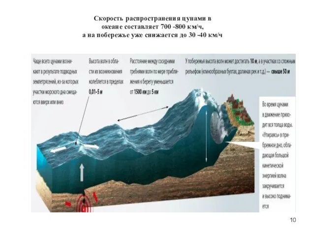 Скорость распространения цунами в океане составляет 700 -800 км/ч, а