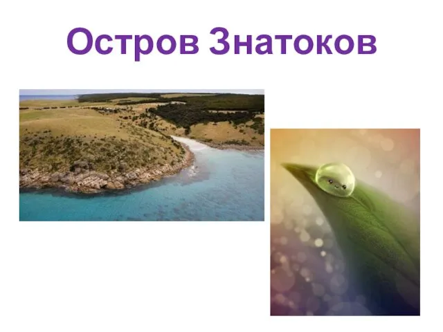 Остров Знатоков
