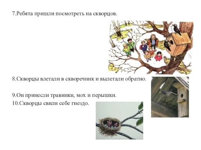 7.Ребята пришли посмотреть на скворцов. 8.Скворцы влетали в скворечник и