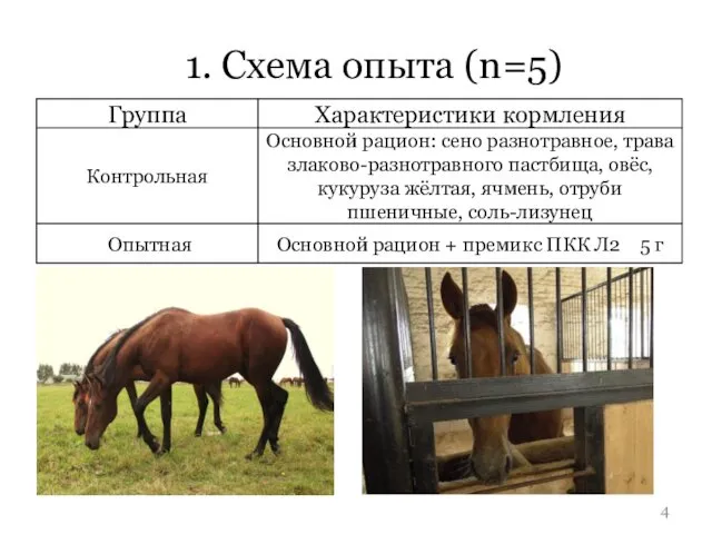 1. Схема опыта (n=5)