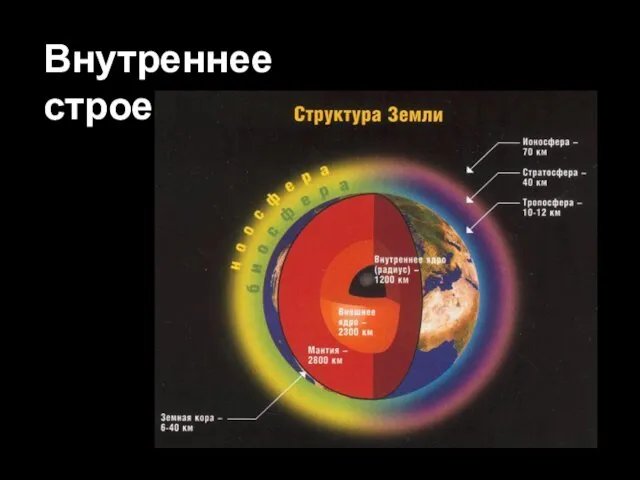 Внутреннее строение: