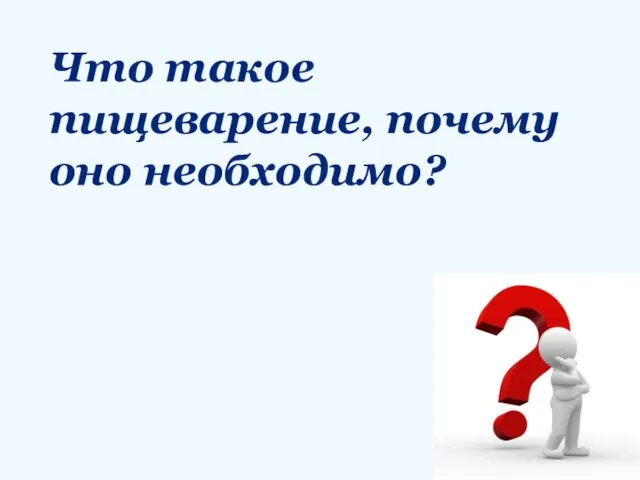 Что такое пищеварение, почему оно необходимо?