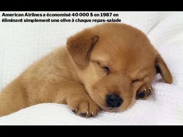 American Airlines a économisé 40 000 $ en 1987 en