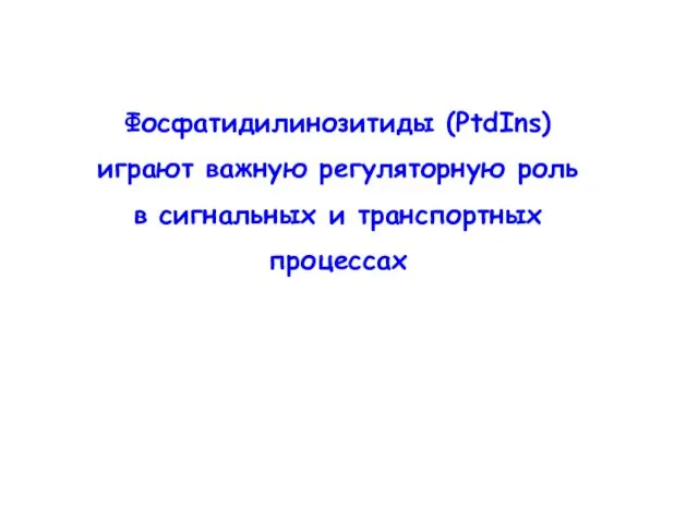 Фосфатидилинозитиды (PtdIns) играют важную регуляторную роль в сигнальных и транспортных процессах