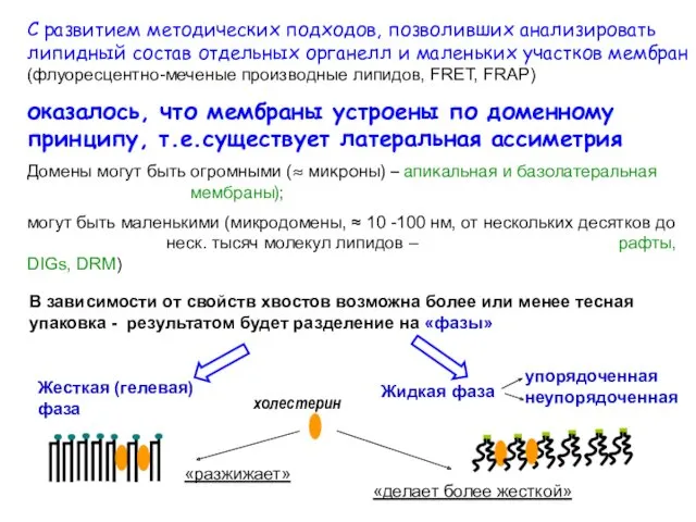 С развитием методических подходов, позволивших анализировать липидный состав отдельных органелл