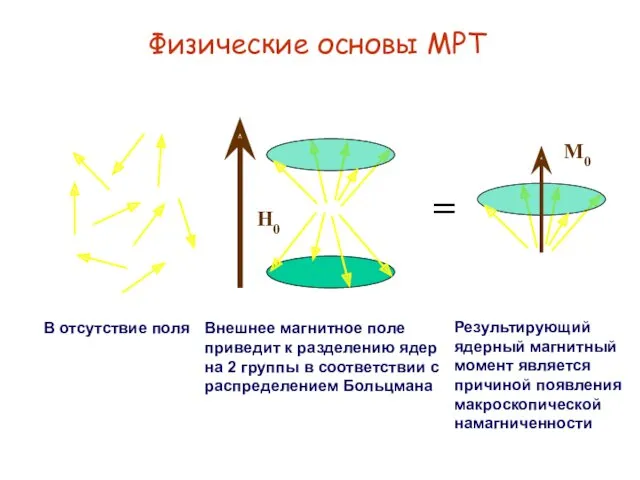 Физические основы МРТ В отсутствие поля H0 Внешнее магнитное поле