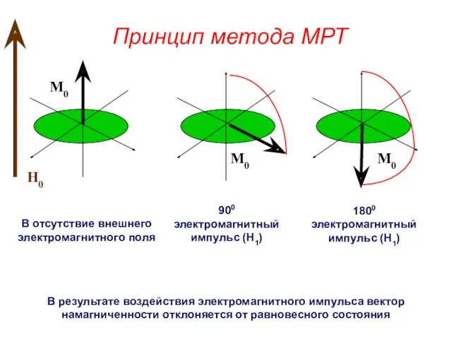 Принцип метода МРТ M0 M0 В отсутствие внешнего электромагнитного поля