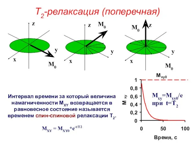 T2-релаксация (поперечная) Интервал времени за который величина намагниченности MXY возвращается