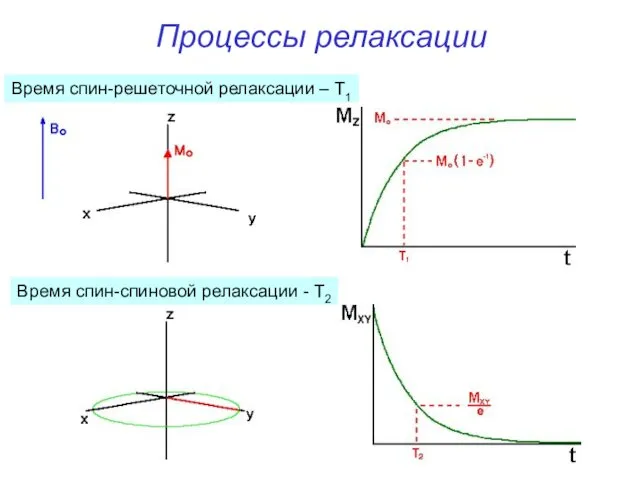 Процессы релаксации Время спин-спиновой релаксации - Т2 Время спин-решеточной релаксации – Т1