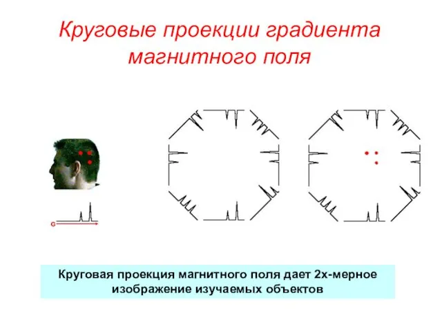 Круговые проекции градиента магнитного поля Круговая проекция магнитного поля дает 2х-мерное изображение изучаемых объектов