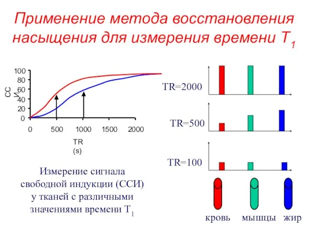 Применение метода восстановления насыщения для измерения времени T1 Измерение сигнала