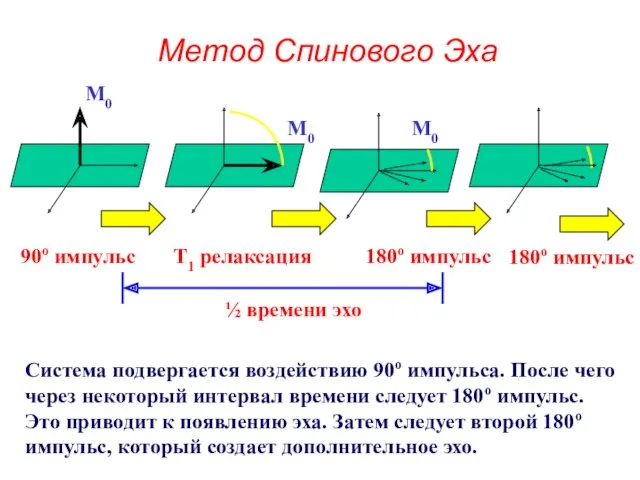 Метод Спинового Эха M0 x y M0 M0 180o импульс