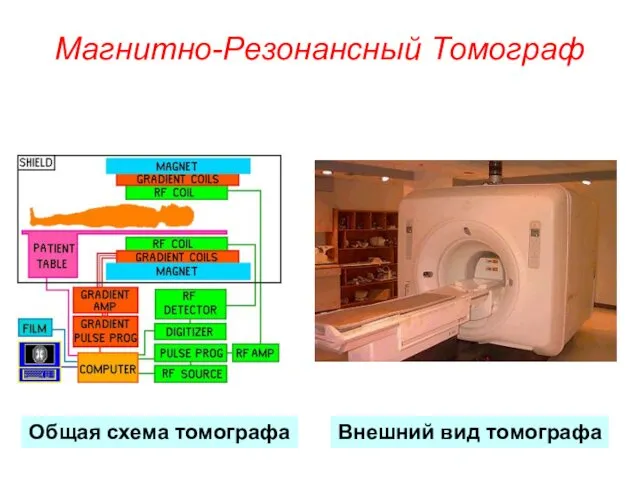 Магнитно-Резонансный Томограф Внешний вид томографа Общая схема томографа