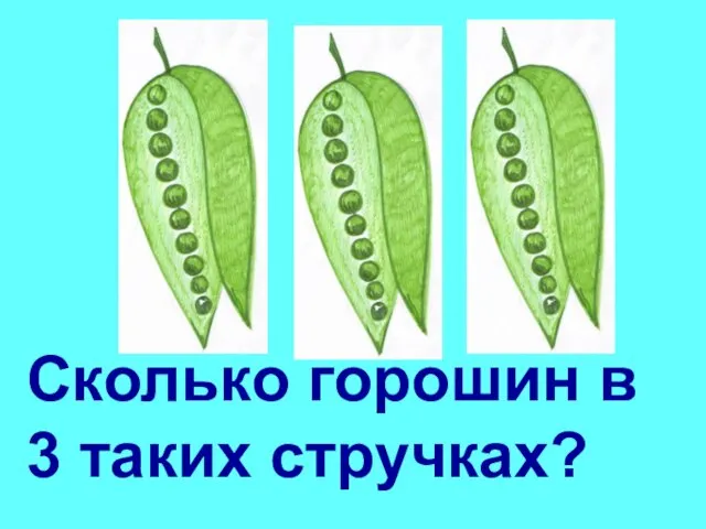 Сколько горошин в 3 таких стручках?