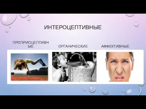 ИНТЕРОЦЕПТИВНЫЕ ПРОПРИОЦЕПТИВНЫЕ ОРГАНИЧЕСКИЕ АФФЕКТИВНЫЕ