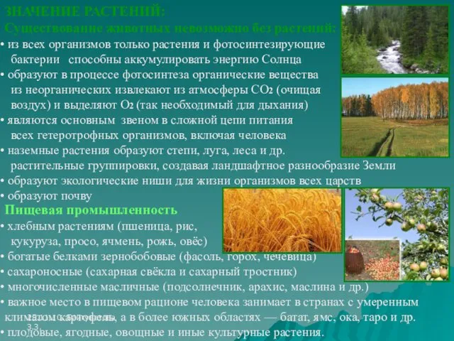 25.11.10. Байгуватова З.З. ЗНАЧЕНИЕ РАСТЕНИЙ: Существование животных невозможно без растений: