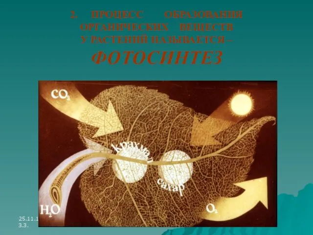 25.11.10. Байгуватова З.З. 2. ПРОЦЕСС ОБРАЗОВАНИЯ ОРГАНИЧЕСКИХ ВЕЩЕСТВ У РАСТЕНИЙ НАЗЫВАЕТСЯ – ФОТОСИНТЕЗ