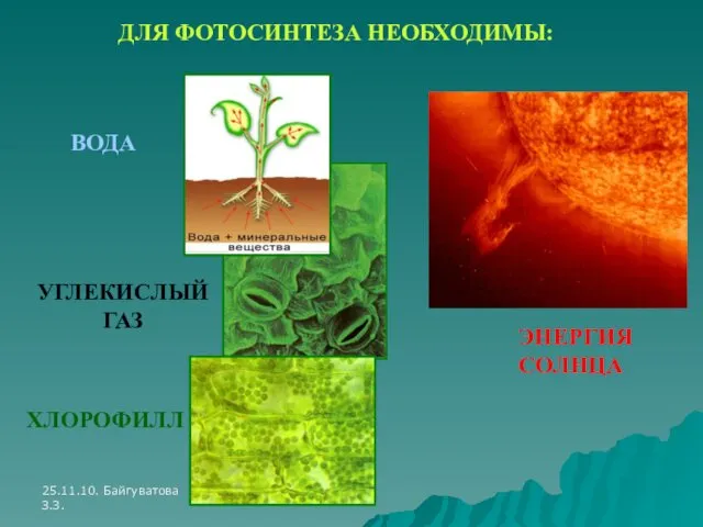 25.11.10. Байгуватова З.З. ДЛЯ ФОТОСИНТЕЗА НЕОБХОДИМЫ: ВОДА УГЛЕКИСЛЫЙ ГАЗ ХЛОРОФИЛЛ ЭНЕРГИЯ СОЛНЦА