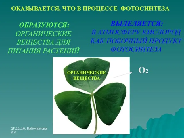 25.11.10. Байгуватова З.З. ОКАЗЫВАЕТСЯ, ЧТО В ПРОЦЕССЕ ФОТОСИНТЕЗА ОБРАЗУЮТСЯ: ОРГАНИЧЕСКИЕ