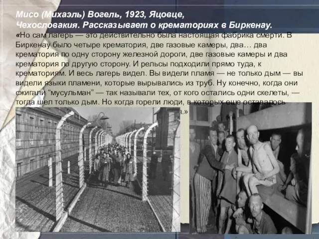 Мисо (Михаэль) Вогель, 1923, Яцовце, Чехословакия. Рассказывает о крематориях в