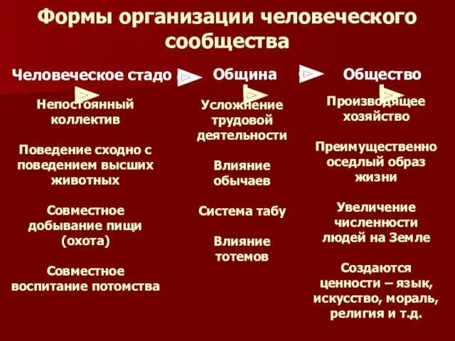 Формы организации человеческого сообщества Человеческое стадо Непостоянный коллектив Поведение сходно