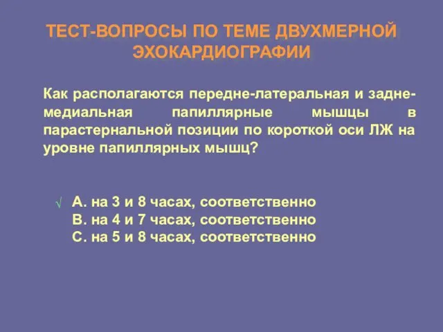 ТЕСТ-ВОПРОСЫ ПО ТЕМЕ ДВУХМЕРНОЙ ЭХОКАРДИОГРАФИИ Как располагаются передне-латеральная и задне-медиальная