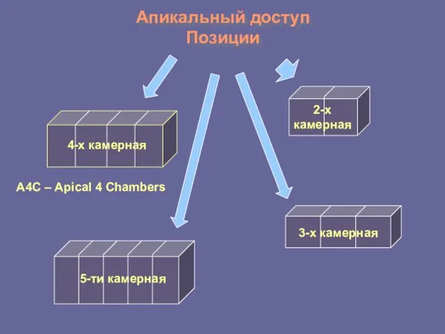 Апикальный доступ Позиции 4-х камерная 5-ти камерная 2-х камерная 3-х камерная А4С – Apical 4 Chambers