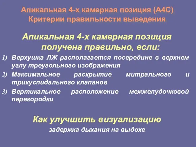 Апикальная 4-х камерная позиция (А4С) Критерии правильности выведения Апикальная 4-х