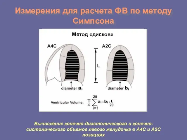 Измерения для расчета ФВ по методу Симпсона Вычисление конечно-диастолического и