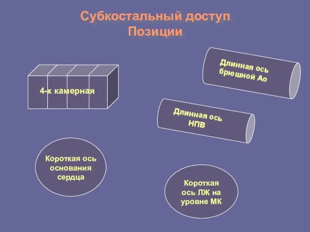 Субкостальный доступ Позиции 4-х камерная Короткая ось основания сердца Короткая