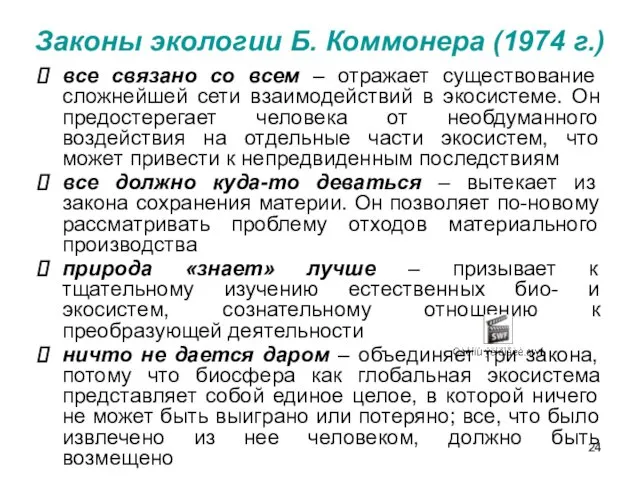 все связано со всем – отражает существование сложнейшей сети взаимодействий