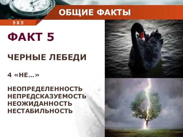 5 Х 5 ОБЩИЕ ФАКТЫ ФАКТ 5 ЧЕРНЫЕ ЛЕБЕДИ 4 «НЕ…» НЕОПРЕДЕЛЕННОСТЬ НЕПРЕДСКАЗУЕМОСТЬ НЕОЖИДАННОСТЬ НЕСТАБИЛЬНОСТЬ