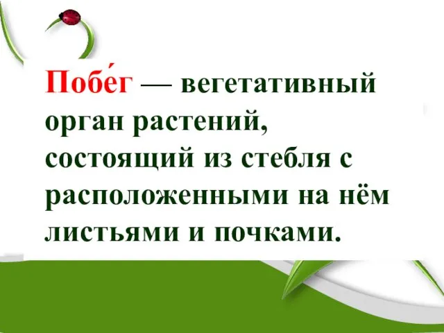 Побе́г — вегетативный орган растений, состоящий из стебля с расположенными на нём листьями и почками.