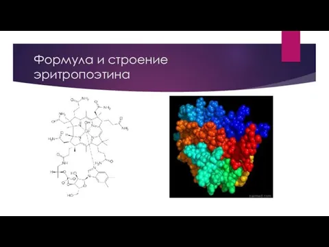 Формула и строение эритропоэтина