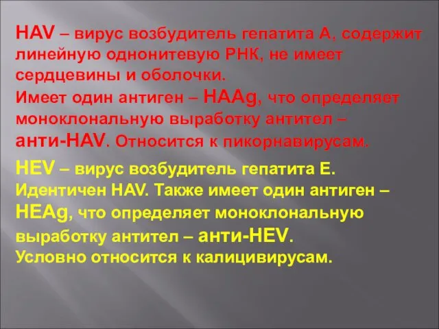 HAV – вирус возбудитель гепатита А, содержит линейную однонитевую РНК,