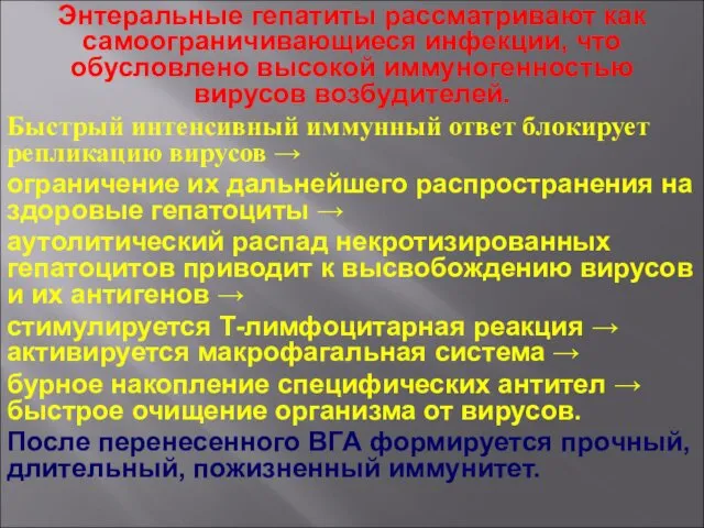 Энтеральные гепатиты рассматривают как самоограничивающиеся инфекции, что обусловлено высокой иммуногенностью