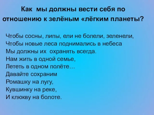 Как мы должны вести себя по отношению к зелёным «лёгким