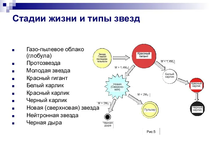 Стадии жизни и типы звезд Газо-пылевое облако (глобула) Протозвезда Молодая