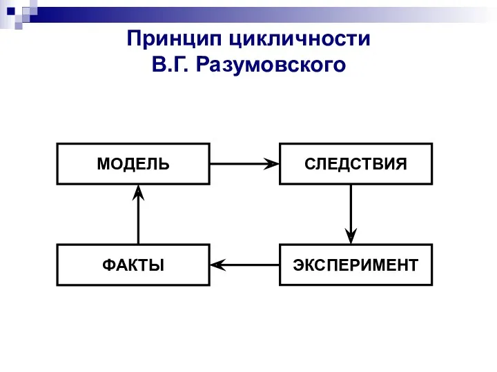 Принцип цикличности В.Г. Разумовского