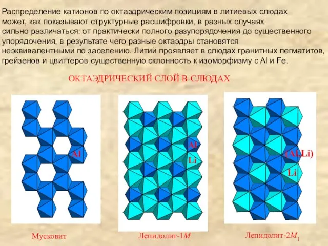 Распределение катионов по октаэдрическим позициям в литиевых слюдах может, как