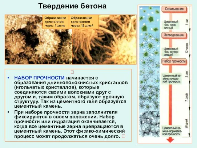 ? НАБОР ПРОЧНОСТИ начинается с образования длинноволокнистых кристаллов (игольчатых кристаллов),