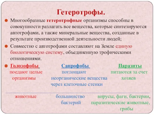 Гетеротрофы. Многообразные гетеротрофные организмы способны в совокупности разлагать все вещества,