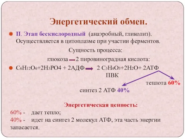 Энергетический обмен. II. Этап бескислородный (анаэробный, гликолиз). Осуществляется в цитоплазме