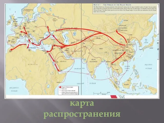 карта распространения чумы в средние века