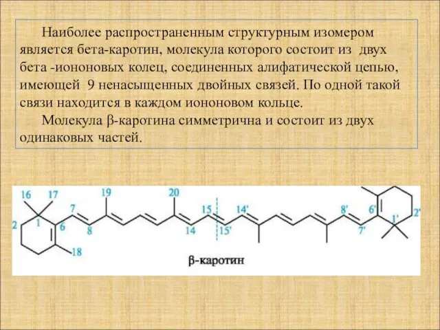 Наиболее распространенным структурным изомером является бета-каротин, молекула которого состоит из